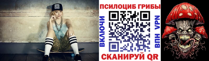 Галлюциногенные грибы Psilocybe Юхнов